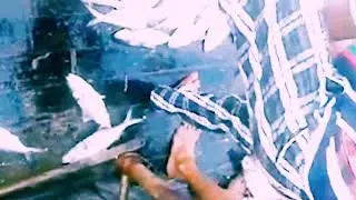 ইলিশ মাছ, সাগরের ছেলেদের ইলিশ মাছ ধরার কৌশল।