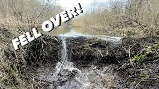 Beaver Dam Collapse After removal!