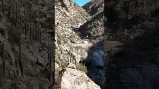 I can’t wait until the weather cools a bit more so I can do some hiking at Tanque Verde Falls.