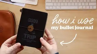 how i'm using my passport bullet journal ✸ 2024 passport travellers notebook setup