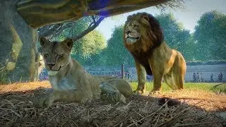 PLANET ZOO Gameplay Walkthrough Demo (E3 2019)