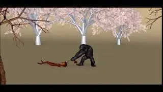 Stewart Vs Kong
