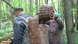 Мы ходили по опята