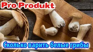 Сколько варить белые грибы