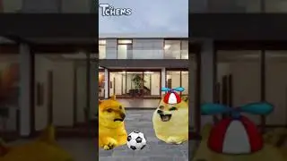 NIÑO CON DERECHO ROBA UN BALON.. Y LE DAN SU MERECIDO #cheemsmemes #niñoconderecho #madreconderecho