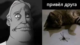 Твой кот сделал это:
