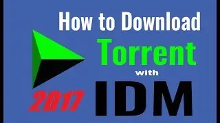 How to download from torrent webside with idm ( internet download manager )