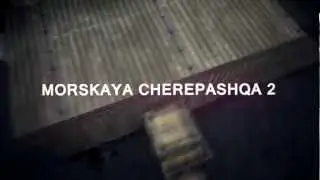MORSKAYA CHEREPASHQA 2 [ CS 1.6 ] МОРСКАЯ ЧЕРЕПАШКА