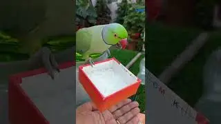 कस कर पकड़ लिया ❤️