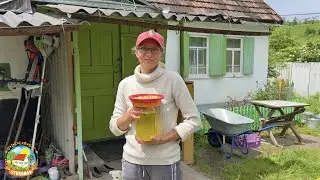 НЕОЖИДАННЫЙ ПРИПЛОД! Жизнь на Кубанском хуторе