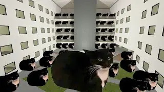 Maxwell Cat Nextbot Gmod Horde!?