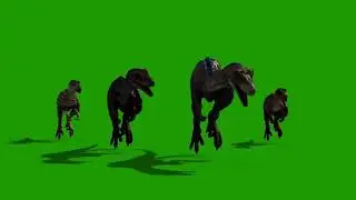 🔥Dainsor Green Screen Effect Editing Video🔥#greenscreenvideo