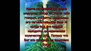 Почему я уважаю только сам себя!!!