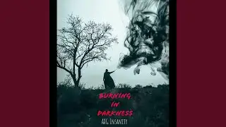 Echoes in the Void