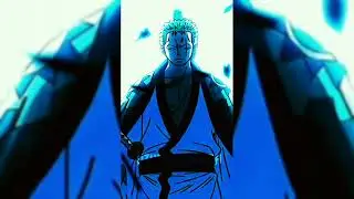 Luffy vs Zoro