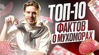 ТОП-10 ФАКТОВ О МУХОМОРАХ | Входят в состав снотворного?
