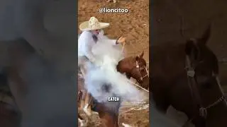 So Much Smoke On Cowboys Ropes 