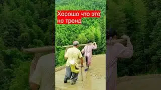 Хорошо, что то не тренд. 