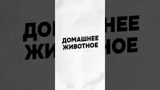 Главная проблема Латинской Америки