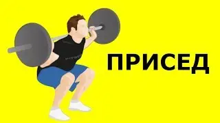 ПРИСЕДАНИЯ СО ШТАНГОЙ: НЕВЕРОЯТНЫЕ ФАКТЫ 😀