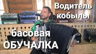 Водитель кобылы