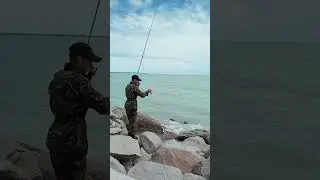 Балхаш. Пока так. #рыбалка #врек #накрючке #fishingvideo #fishing #рыба #carpfishing #рыбалка2024