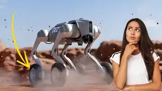 Un Robot Chien à Roulettes !