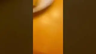 Princess helps eat beef taquitos 