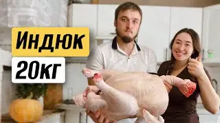 ЗАБОЙ ИНДЮКОВ ХАЙБРИД КОНВЕРТЕР: первые самцы