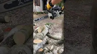 Работа ZIMANI MS 180 PRO #zimani #stihl #hasqvarna #арбористика #бензопила