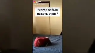 16 июня 2020 г.