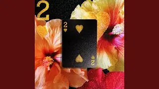 In the Cards