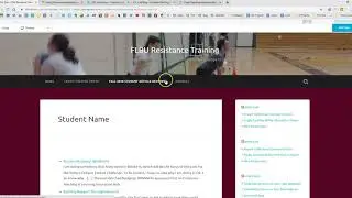 Syndicating RSS Feeds via Categories on Main Site Menu