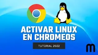 ▶️ CÓMO DESCARGAR E INSTALAR APLICACIONES DE LINUX EN NUESTRO CHROMEBOOK 2022 ✅ LINUX CHROME OS FLEX
