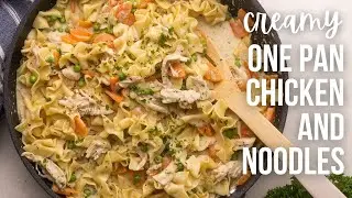 Chicken and Noodles Recipe | The Recipe Rebel