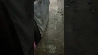 penampakan