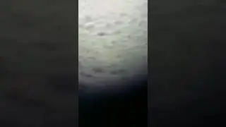 Казармандан Аю адамдарга кол салды