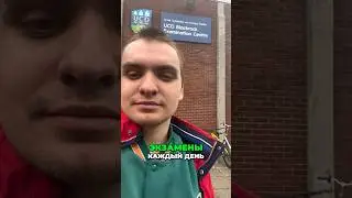 Экзамены в Ирландском колледже #ирландия