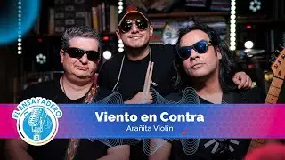Viento en Contra: Arañita Violín | El Ensayadero