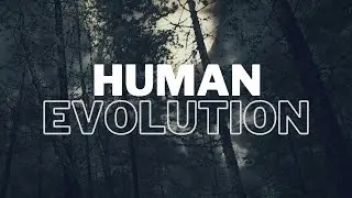 Stages Of Human Evolution! 🐒