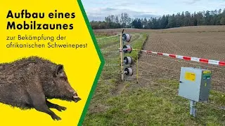 Aufbau eines Mobilzaunes zur Schwarzwildabwehr zur Bekämpfung der afrikanischen Schweinepest