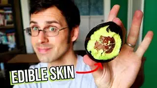 This AVOCADO has a Great Flavor and Edible Skin! (so why isn't it more common?)