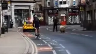 Rogue sheep loose in city headbutts man trying to catch it