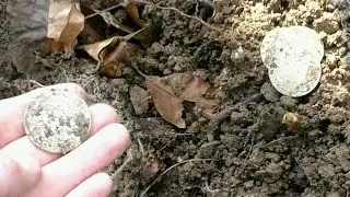Снова нашёл серебро! Но на этот раз покруче!