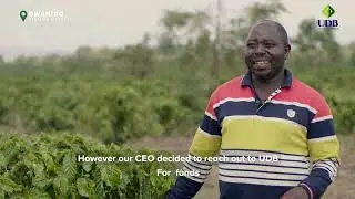 UDB Nafunamu - Associate Limited Farm Dwaniro, Kiboga District