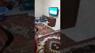 Лиза телемастер,сначала ломаем потом ремонтируем