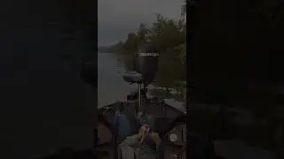 Bass Fisherman gets a Little too Excited #bass #fishing #fail #fall #funny #basshogg