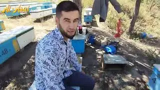 АСАЛ КАЧКА ва қишга тайёргарлик 23-26-август