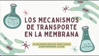 Mecanismos Transporte a través de Membrana