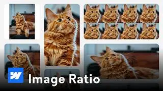 Mastering Image Aspect Ratios in Webflow